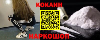 spice Дубна
